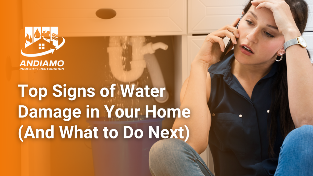 Top Signs of Water Damage in Your Home (And What to Do Next)